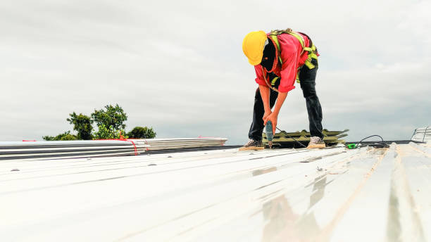 Best Asphalt Shingle Roofing  in Hillcrest, CA