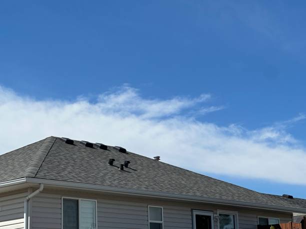 Best Roof Waterproofing  in Hillcrest, CA
